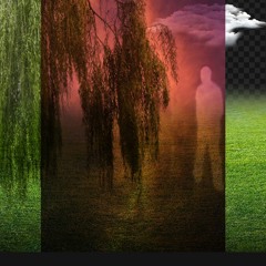 MEDICAMENTOS SIN RECETA