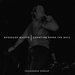 Renegade Master | Counting Down The Days (Axwell Λ Ingrosso Mashup)