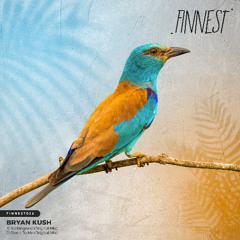 Bryan Kush - Nothingness (Original Mix)