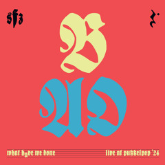 What Have We Done (Live at Pukkelpop)