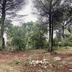 Rural Rain - Demo Audio