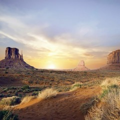 The Barren Land