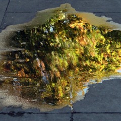 into the fire of devotion