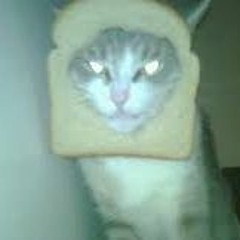 Breadcat Got Bread $$$