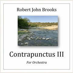 Contrapunctus III for Orchestra