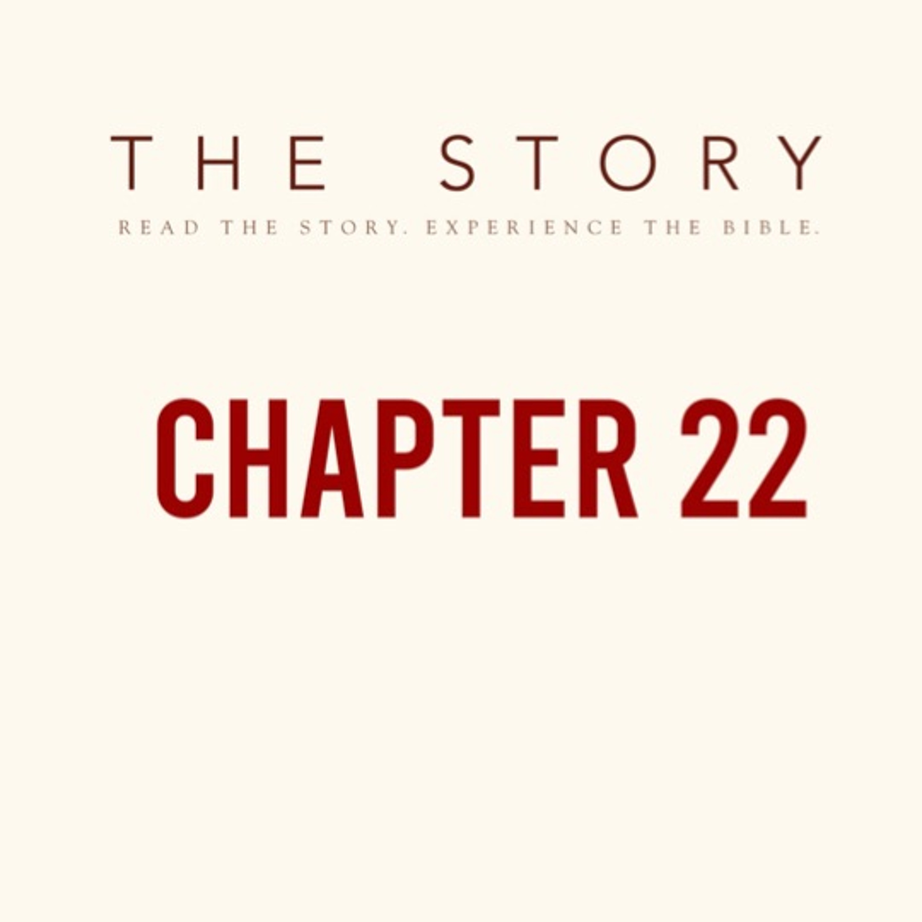 The Story - Ch. 22: The Birth Of The King - John 1:1 - 14, 17 - 18 episode artwork