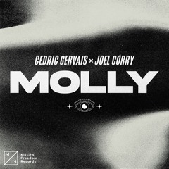 Cedric Gervais & Joel Corry - Molly (Noah J Price Remix)