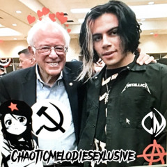 BABYPUNK - BERNIE SANDERS (zoega + redda)