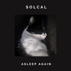 Solcal - Asleep Again