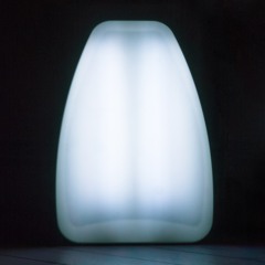 Se Mig Før Jeg Glemmer Hvem Jeg Er