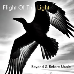 Beyond The Fields - Original Soundtrack - Flight Of The Light (Book Two)