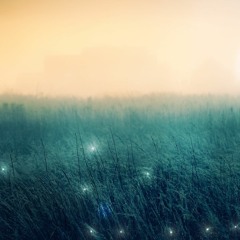 Fireflies In My Summer