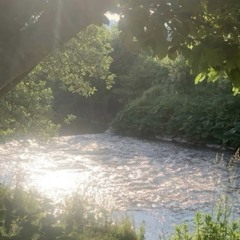 Summer breeze
