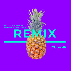 Karneval DJ Tycho Remix - Braelyn Rankins Edit