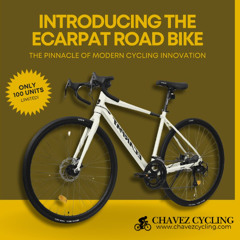 Online Bike Shop Tampa