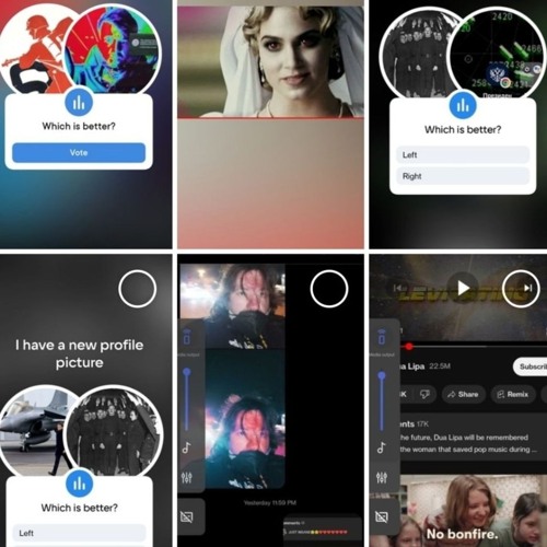 Quang and Dr long go ⚡⚡🥷🏻🐊🦊