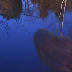 сердце(2023 demo)