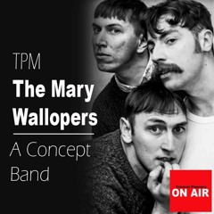 The Mary Wallopers by TPM - A Concept Band