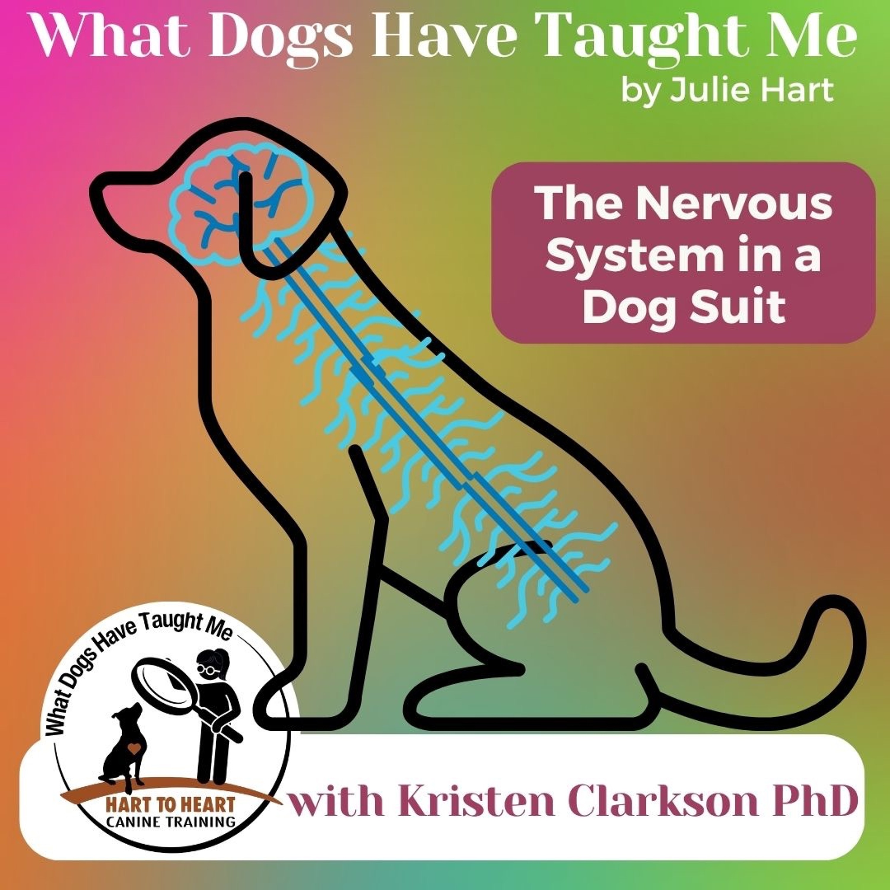 The Nervous System in a Dog Suit episode artwork