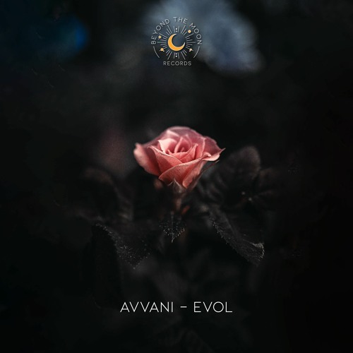 Avvani - Evol (Original Mix)
