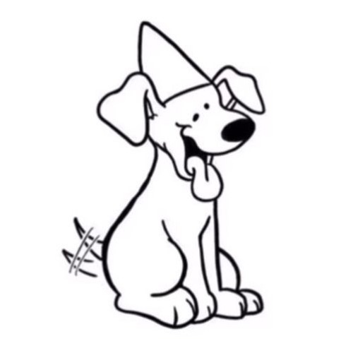 DUNCEDOG - CAMPER