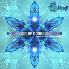 Cosmic Shaman - From The Forest To The Cosmos