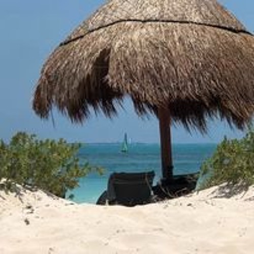 Tribute To Joe Wink & The Caribbean Sea