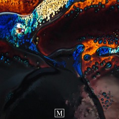 Ameli Paul - Open Fire | MEIOSIS