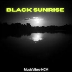 Andreas Stone With Denniz Jamm - Black Sunrise [NCS Release]  || MV || NCM  || MusicVibes- NCM