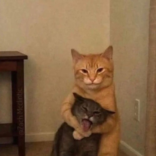 Harbinger Of Cat Nip!!! meow!!!!