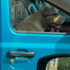 Some Thing- Club Remix