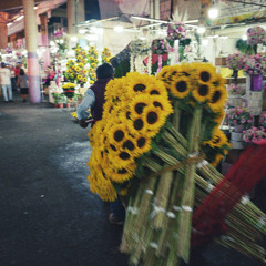 028 Max: Afternoon Baseball