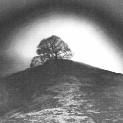 halogató & loveoxy - lidercnyomas (prod. flexer, halogató, nino bestia)