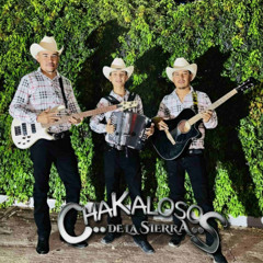 El Güero Colorado (En Vivo)