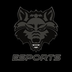 Noah Ergle of Arkansas State Esports (@AStateEsports)