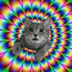 Trip