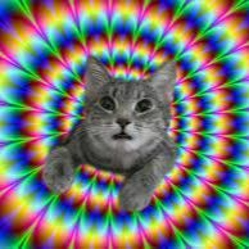 Trip