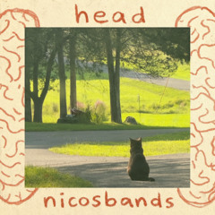 head