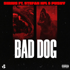 SIRIUS Ft. STEFAN NFL & PUSKY - BAD DOG