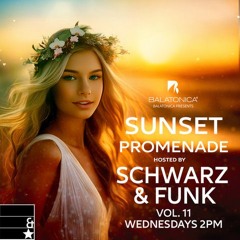 Schwarz & Funk - Sunset Promenade vol. 11