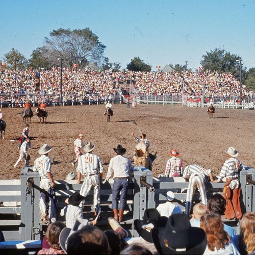 Stream NTS Guide to: Texas Prison Rodeo Bands 180425 by NTS 2024-2025 ...
