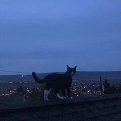 THIRST - OUR STARS (Spikecat & yuzamei. remix)