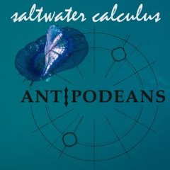 Saltwater Calculus