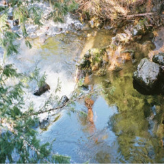BB-105_God Has No Favorites, Part 2