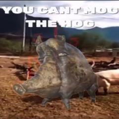 U cannot mog the hog