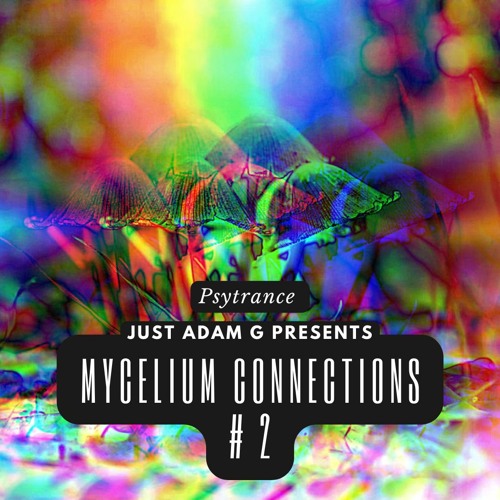 Mycelium Connections (Psytrance) # 2