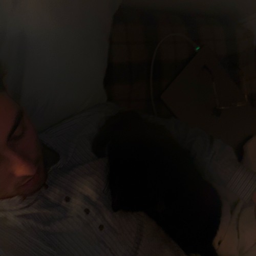 Summer / Spring => Fall