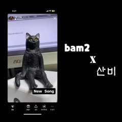 Bam2 - 해일 (feat.산비)