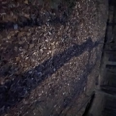 Hold On Were Going Home X One More Night