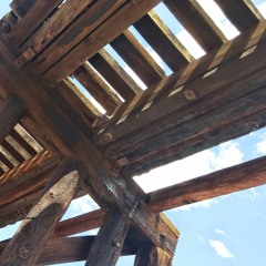 In Sight (till Light)